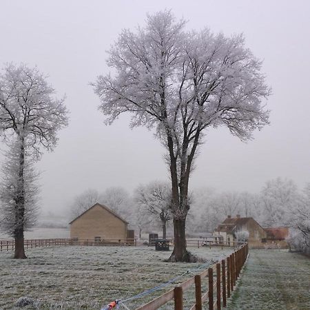 Le Magny  Bienvenue A La Grenouillereヴィラ エクステリア 写真