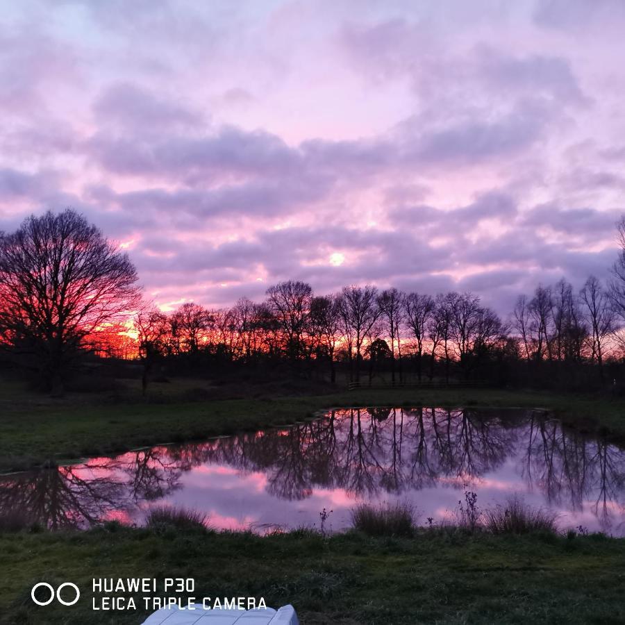 Le Magny  Bienvenue A La Grenouillereヴィラ エクステリア 写真
